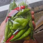 チャーリーズプレイス - チャーリーくんの畑で採れた青唐辛子とジョロキアとハバネロ♪
