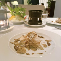 カーザ ヴィニタリア - 