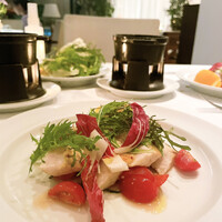 カーザ ヴィニタリア - 