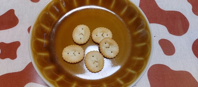 サンシェルwithだがし夢や - 帯広（その他）の写真