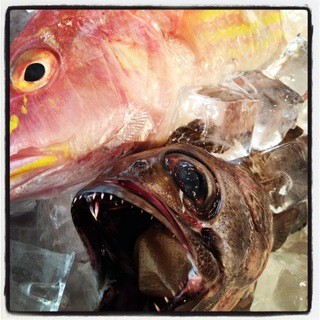 蕎麦粉食堂 Buckwheat - イトヨリとクロムツ