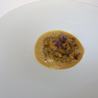 macua - 