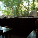 呑気放亭 - 地下なのにドライエリアのお庭が綺麗