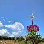 ハリーズ シュリンプ トラック - 