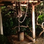 ぎゃらりぃかふぇ華野 - 庭の井戸