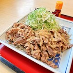 Sagami - たっぷりのお蕎麦が見えない大量のお肉とねぎ。