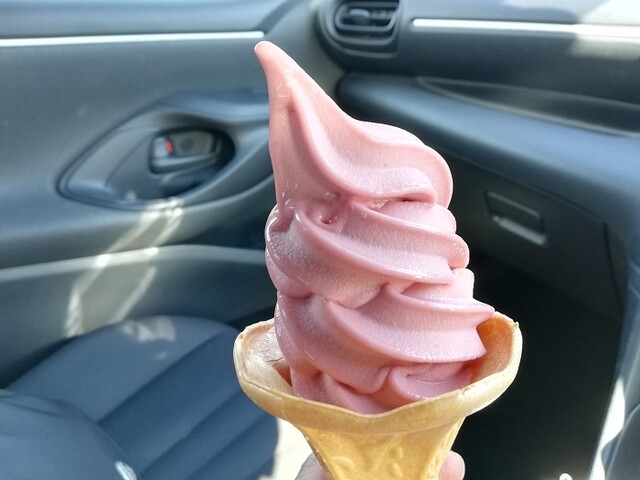 上河内サービスエリア 上り線 スナックコーナー 鹿沼 その他 食べログ