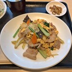 chuugokukateiryouritoukaihanten - 豚肉・卵・きくらげの炒め物