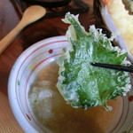 たらいうどん椛や - 2012年7月。再訪問。夏の「椛や」さん!!!遅めのお昼でしたが、お客さん途切れず!!!