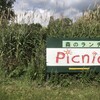 森のランチ ピクニック