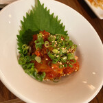 天草大王と馬肉バル TORi馬Ko - 