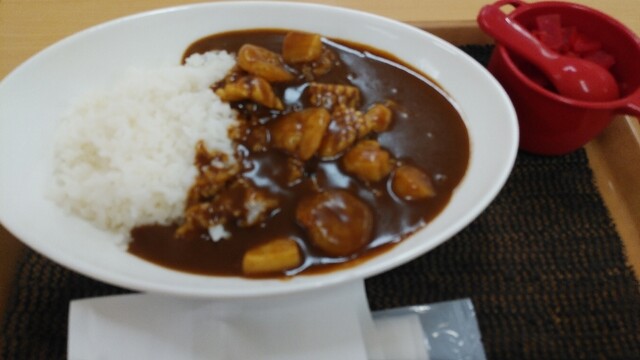 ジャングル１ イオン帯広店 - 帯広（カレー）の写真