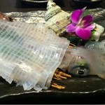 Gomaya - いかの活け造り