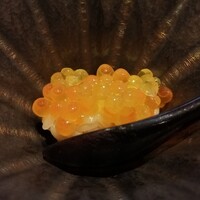 神楽坂 よこ田 - 黄金