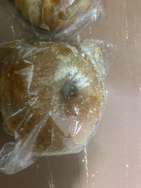 Pan Kobo Kurumi photo 2