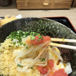 Honkakuha Hakata Udon Hasida Taikiti - 