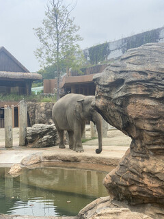 東山動植物園 - 