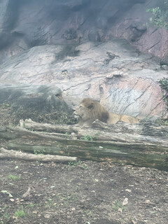 東山動植物園 - 