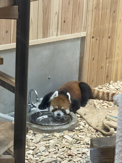 東山動植物園 - 