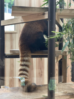 東山動植物園 - 