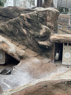 東山動植物園 - 