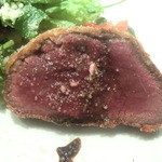 VIA Brianza - えぞ鹿