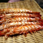 恵比寿 鮨 ふじまさ - 