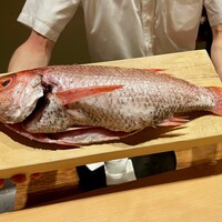 米増 - 舞鶴から送られてきた2kgの巨大のどぐろ