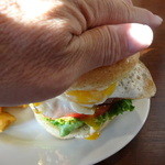 パントリー コヨーテ - 掌でシッカリ優しく抑えて