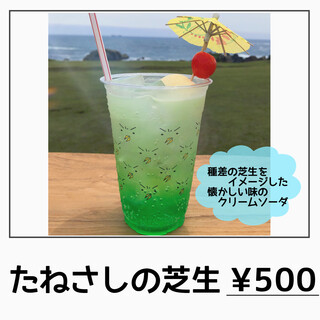 海カフェ たねさし_1