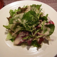 北新地 福多亭 The Ukai - 有機野菜のサラダ