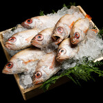 品川 個室和食 まつもと - 