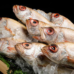 品川 個室和食 まつもと - 