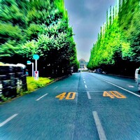 鮨 龍次郎 - 外苑銀杏並木（生憎の雨）…地方出身の私にとって初めてここを訪れた日は忘れません。お店はここから目鼻先です。