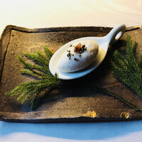 ヒカリヤ ニシ - 