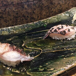 にぎり鮨 一五〇 - 