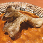 くすのき - 舞茸