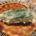 くすのき - 山科とうがらし