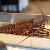 レストラン オオツ - 2021.9 地物の活き伊勢海老