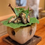 御料理 古川 - 子持ち鮎は美味しい✧\(>o<)ﾉ✧