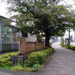 一〇そば - 桜の古木