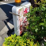 さくら - 