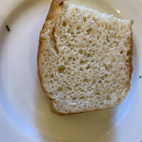 アマルフィイ・モデルナ - 