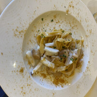 アマルフィイ・モデルナ - 