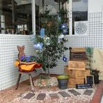 水呑カフェボヌー - 