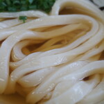 手打ちうどん こげら - うどんUP