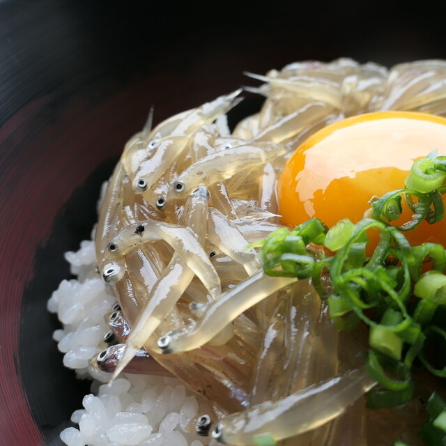 生しらすの漬け丼 が期待以上に旨い サイズが違う 身のハリが違う 一艘曳きの威力を舌で感じる By よい子 田子の浦港 漁協食堂 吉原 海鮮丼 食べログ