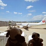 六花亭 - 大阪国際空港(伊丹空港)に来るのって久しぶりだよねぇ。これからボキらはあの飛行機に乗って2泊3日の北海道・函館旅行に出発するよ。ちびつぬ「北海道、北海道～」