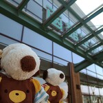 六花亭 - ということで、あっというまに北海道・函館空港に到着！2年前(2017年)にも3泊4日で函館を旅行して、とても楽しかったので今回もほぼ同じ場所を観光する予定なの。ちびつぬ「函館観光と言えば、まずは五稜郭よね～」