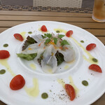 ブルータートル - 